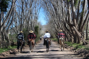 CABALGATA DE LA AMISTAD (3)