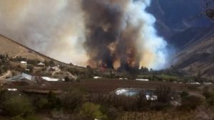 Incendio Quebrada de Paihuano (5)