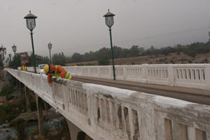 Puente Vicuña