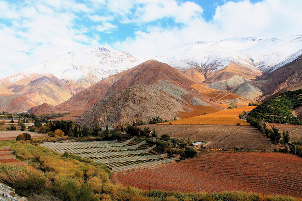 Valle del Elqui es escogido como uno de los paisajes con viñedos más  hermosos del mundo – Elquiglobal