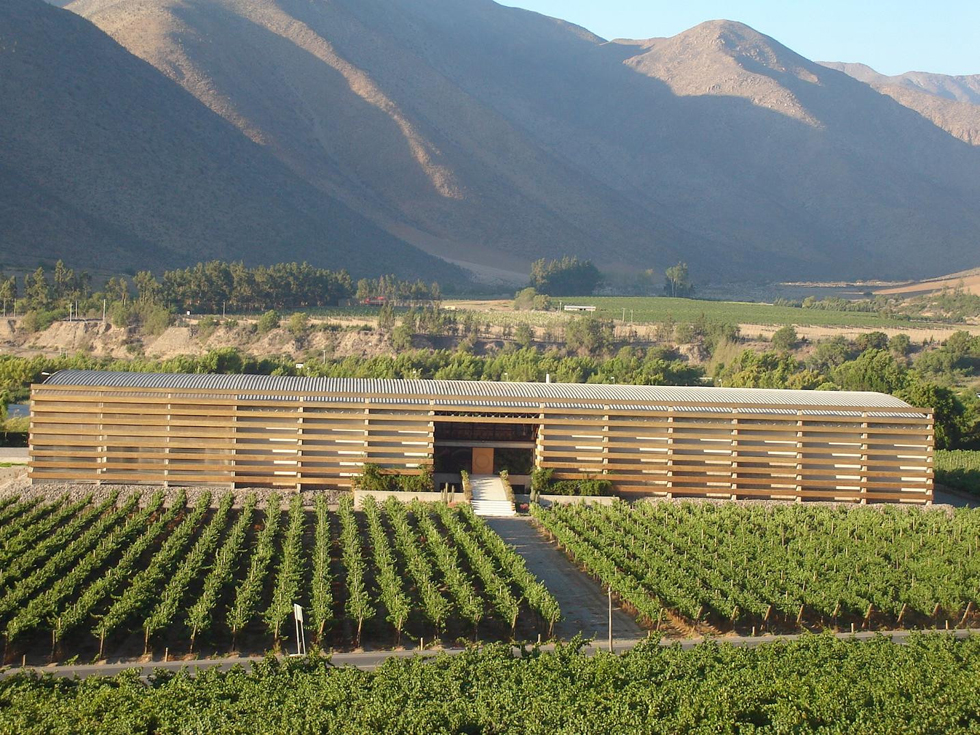 Photo of Valle del Elqui: la frontera norte de los vinos en Chile
