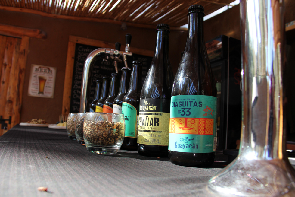 Photo of Cerveza Artesanal: Un ícono turístico y patrimonial en el Valle del Elqui
