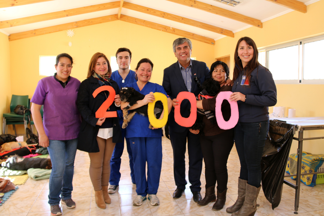 Photo of Con 3 mil mascotas esterilizadas culminó el programa financiado por la SUBDERE en Vicuña