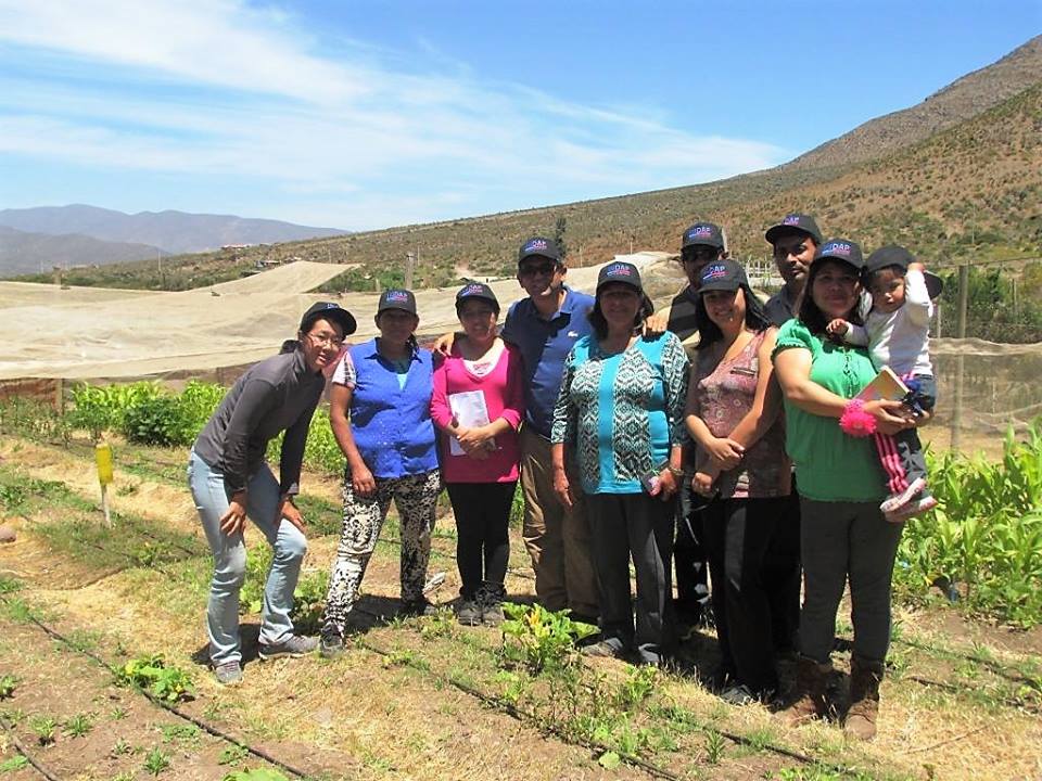 Photo of Agricultores serenensesproyectan incorporar la agroecología a sus labores