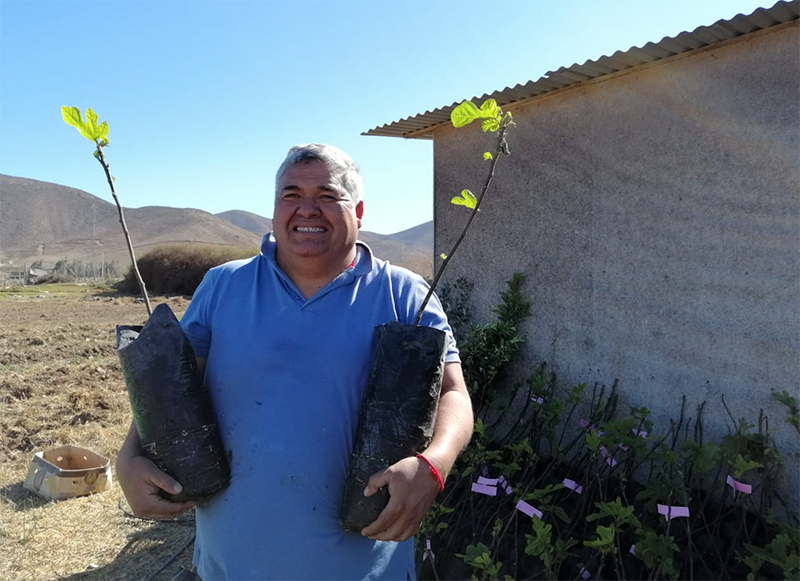 Photo of Altovalsol: Agricultor serenense apuesta por reconvertir su producción ante la escasez hídrica