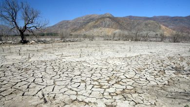Photo of Gremio agrícola presenta  propuestas de apoyos y proyectos por sequía