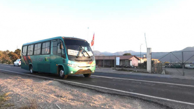 Photo of Entre las 09:00 y las 13:00 estarán disponibles los buses en sectores rurales
