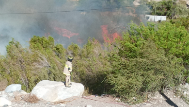 Photo of Monitorean la «Alerta Roja» para la comuna de Vicuña por incendio forestal