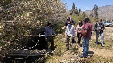 Photo of Denuncian que entubamiento de canal de Quebrada de Talca genera daño ambiental