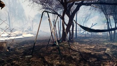 Photo of Incendio consumió viviendas y vegetación autóctona del sector de Totoralillo