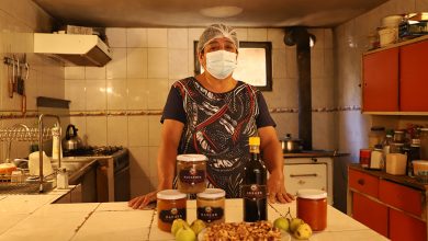 Photo of Alcayota, arrope y uvate preparaciones tradicionales que permanecen en el tiempo