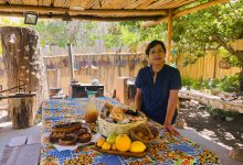 Photo of Profesora rural de Quebrada de Paihuano rescata tradicionales recetas de productos elquinos
