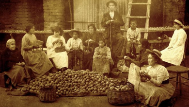 Photo of La Pela del Durazno: Una tradición elquina que une generaciones