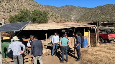 Photo of Familias de Vicuña cuentan con proyecto de recirculación de agua para potabilidad